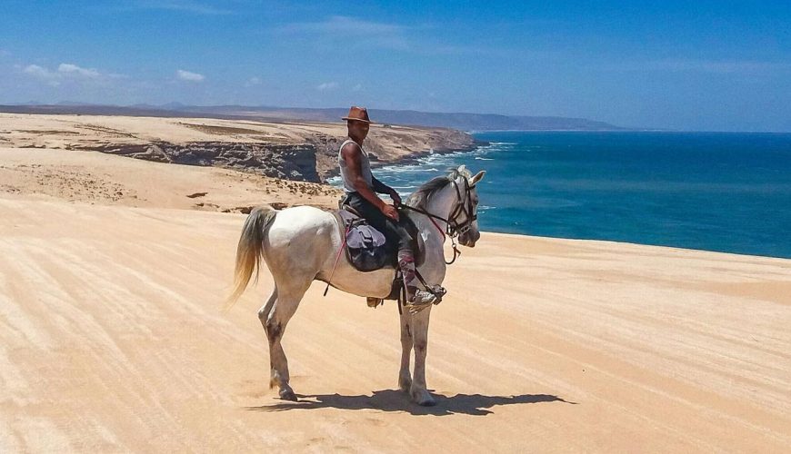 Tangier horse riding for beginners in Mnar hills (Tangier region)