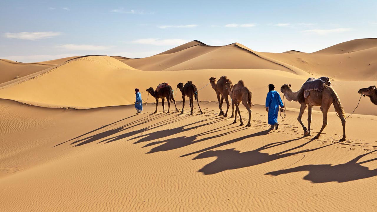 Zagora : Sahara Desert