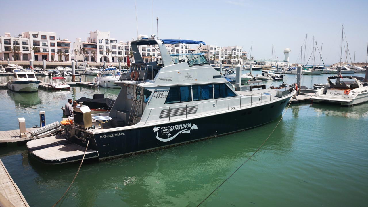 Agadir : Coastal boat tour