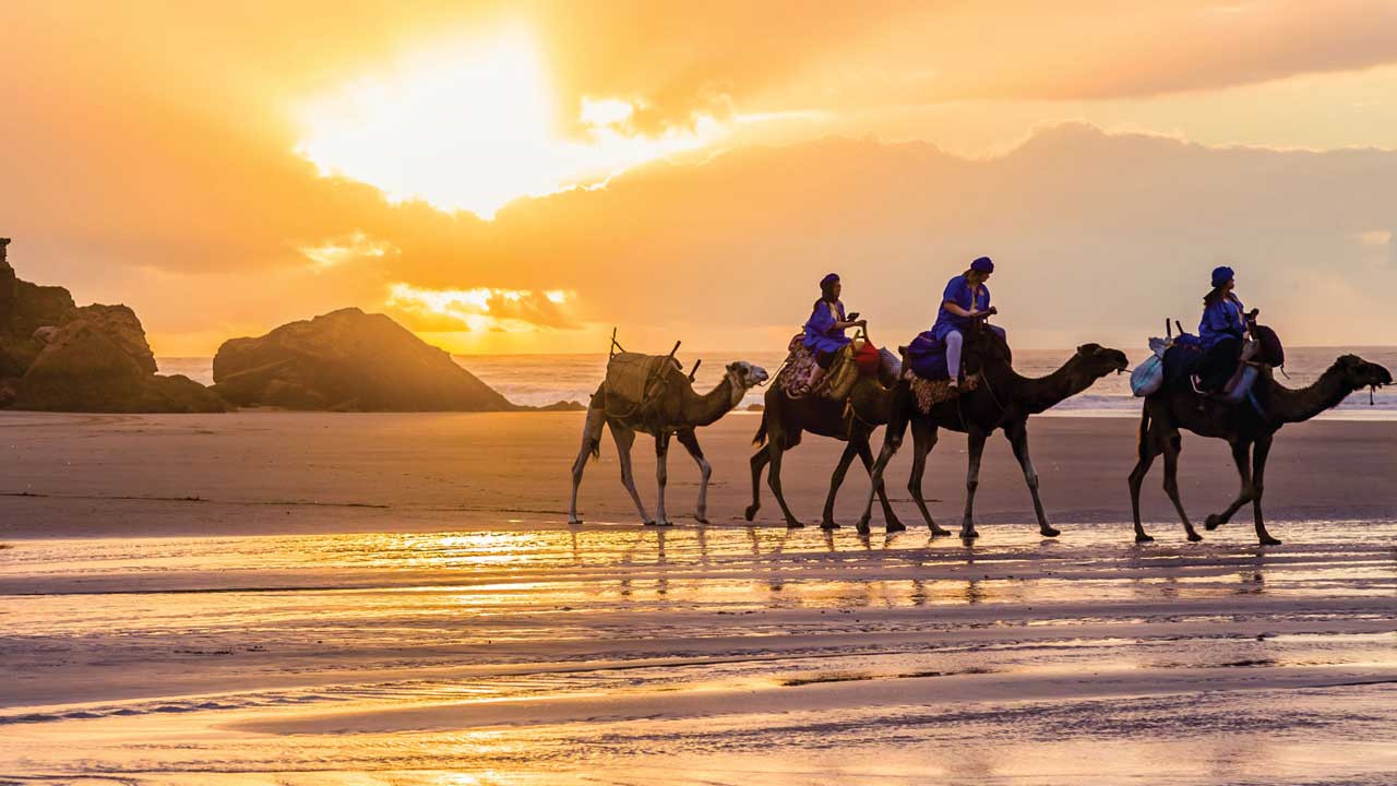 Essaouira : Camel ride on the beach