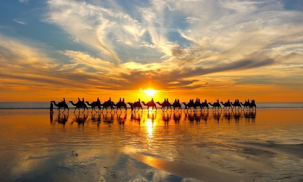 Camel trek / Dromedary trek Agadir