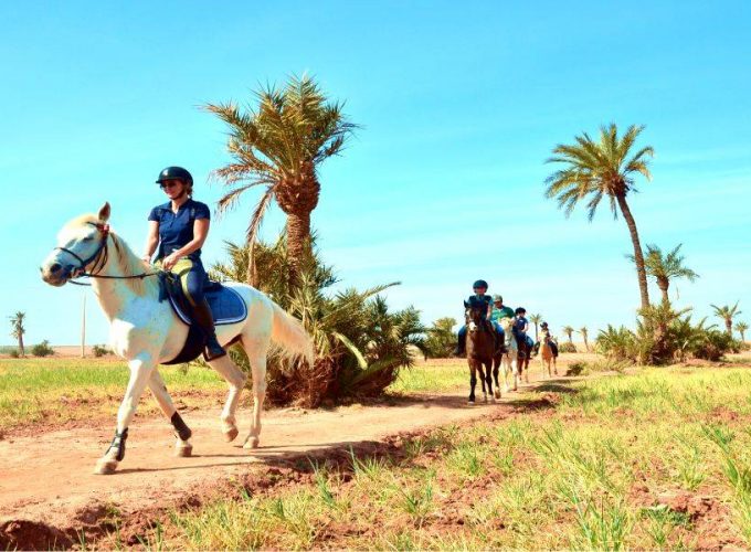 Marrakesh : Horse Back Riding In A Palm Grove