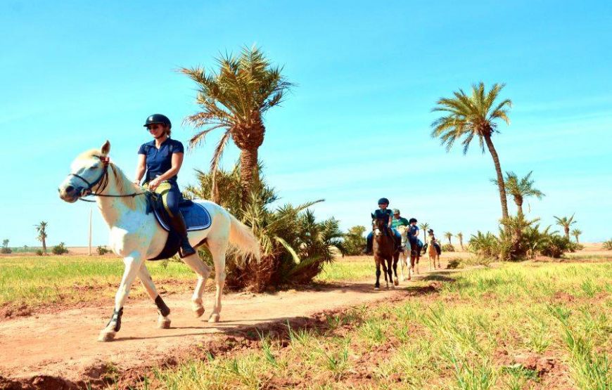 Marrakech : Équitation dans la palmeraie