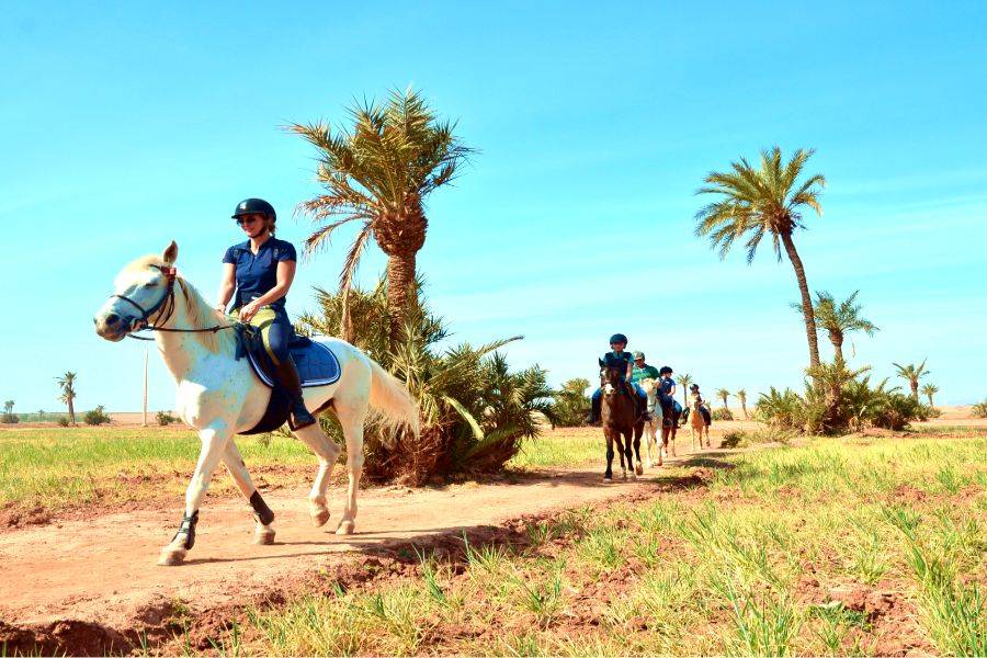 Marrakech : Équitation dans la palmeraie