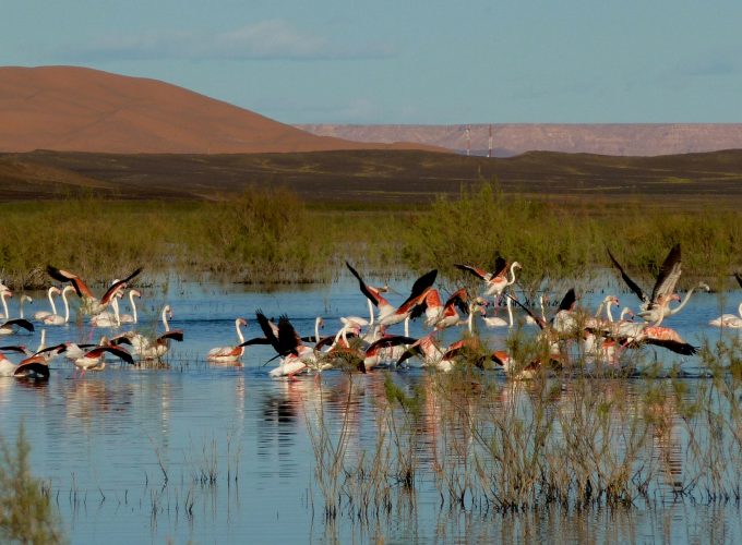 Agence de voyages à Marrakech, Maroc