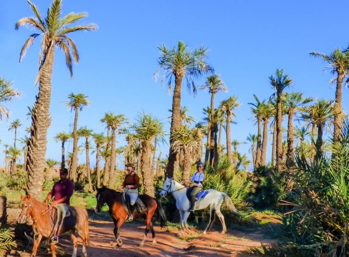 Marrakesh : Horse Back Riding In A Palm Grove