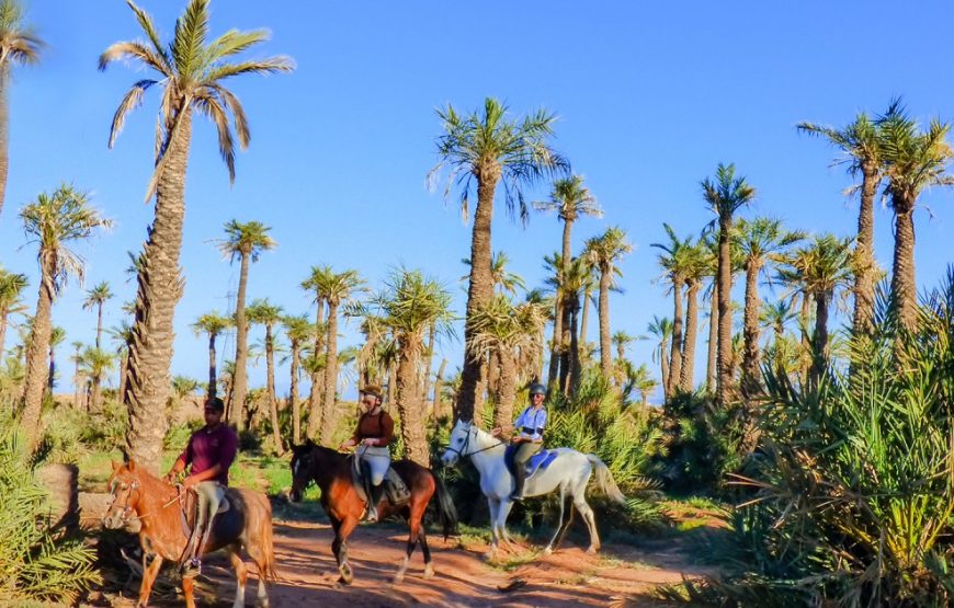 Horse Back Riding In A Palm Grove