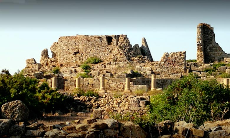 Meknès (région) : Visite de Volubilis