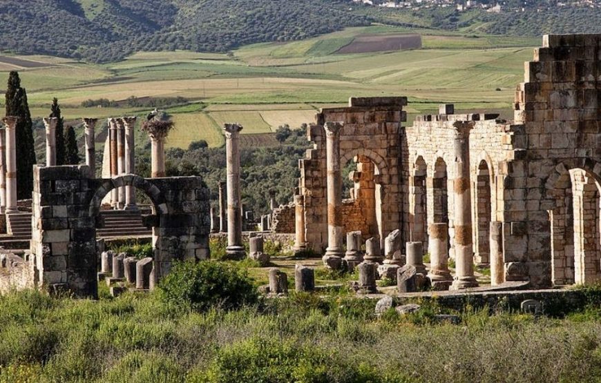Meknes: Visite de Volubilis