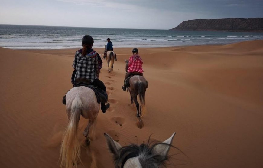 Agadir : Beach horse ride