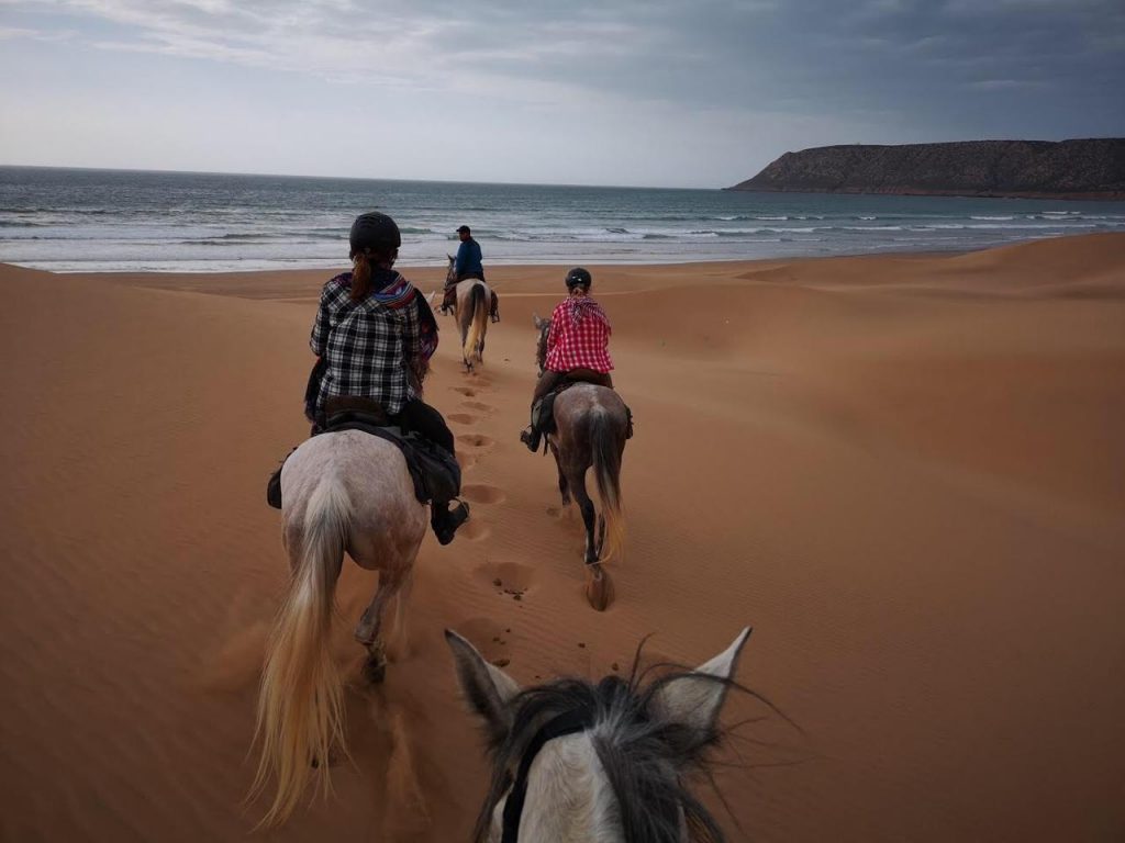 Agadir : Beach horse ride
