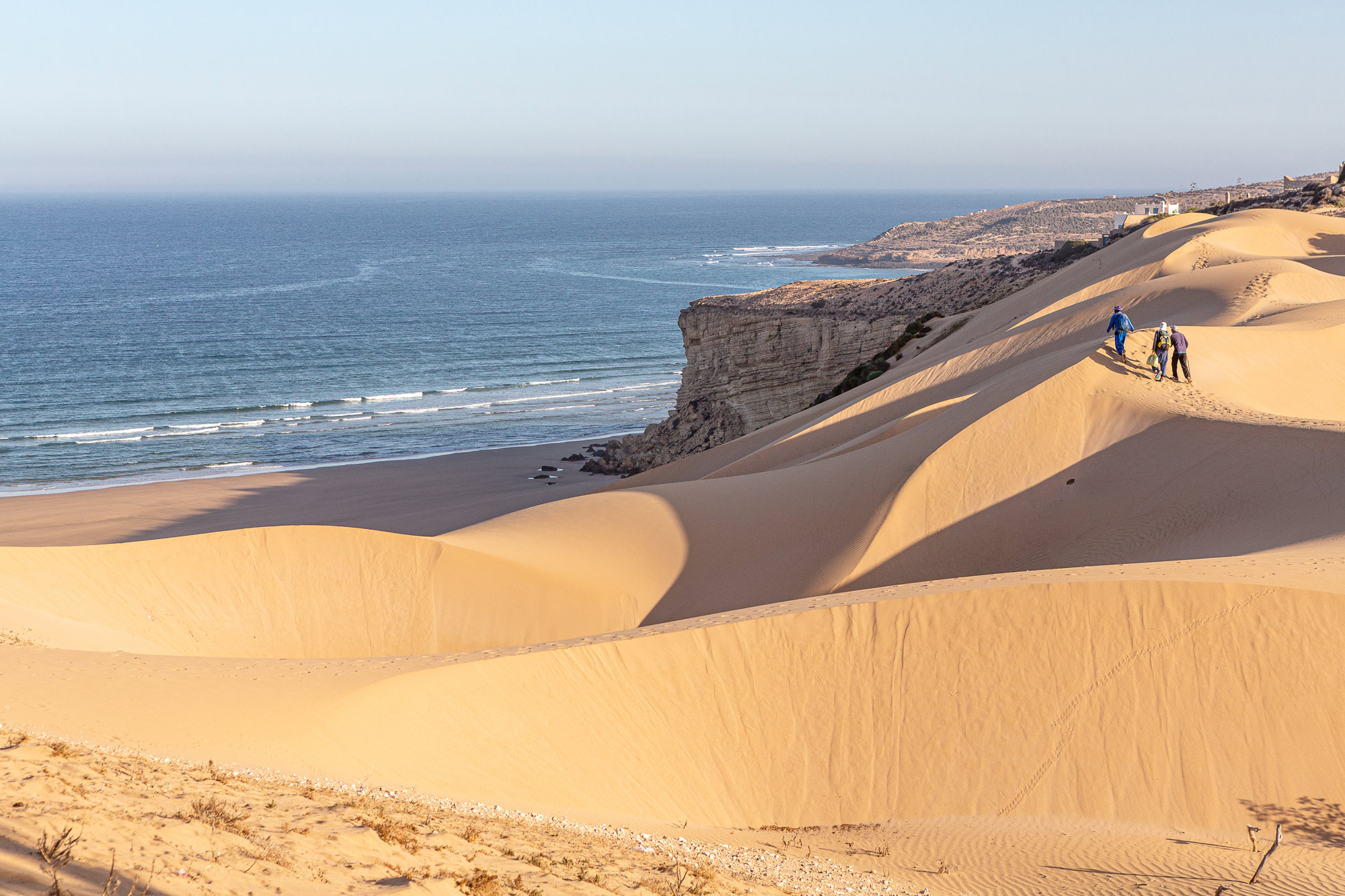 Agadir (région) : Mini safari dans les dunes