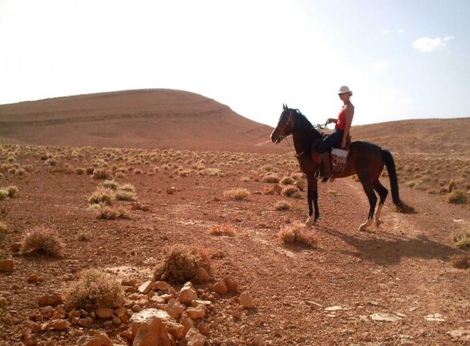Marrakesh (region) : Equestrian hike in the Agafay desert