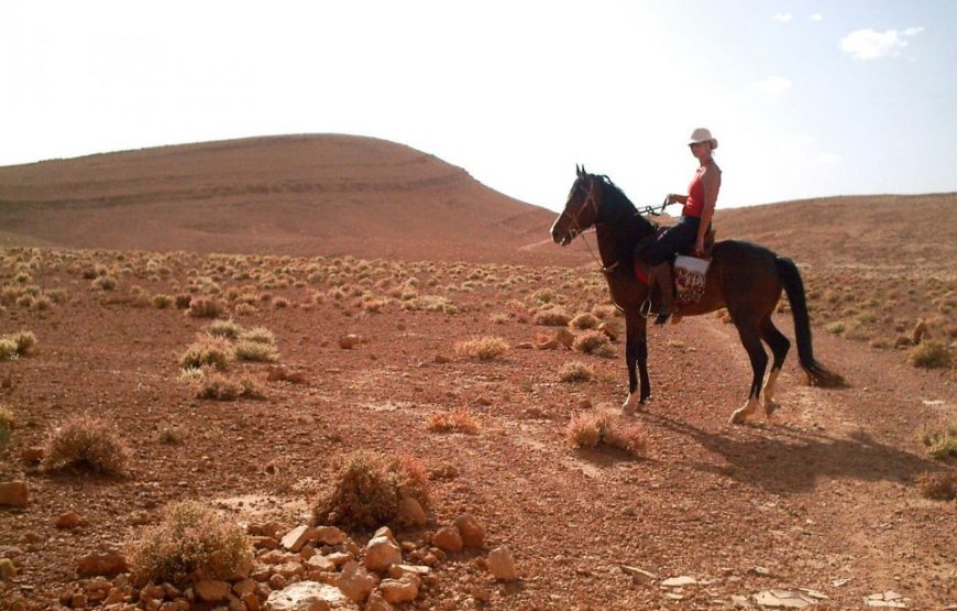 Marrakech: Balade équestre dans le désert de l’Agafay