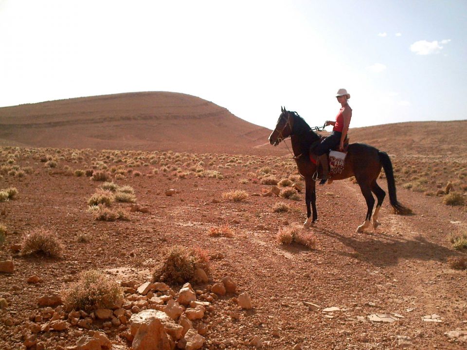 Marrakech (région) : Balade équestre dans le désert de l’Agafay