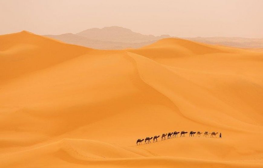 Merzouga : Promenade dans les Oasis