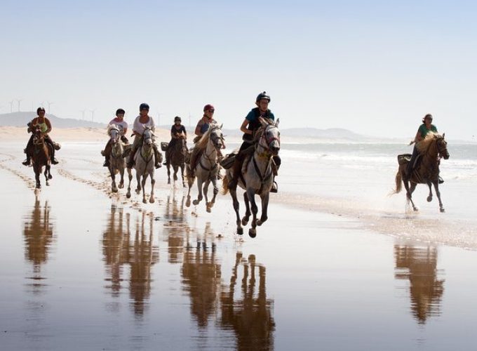 Essaouira : horse riding (3 hours)
