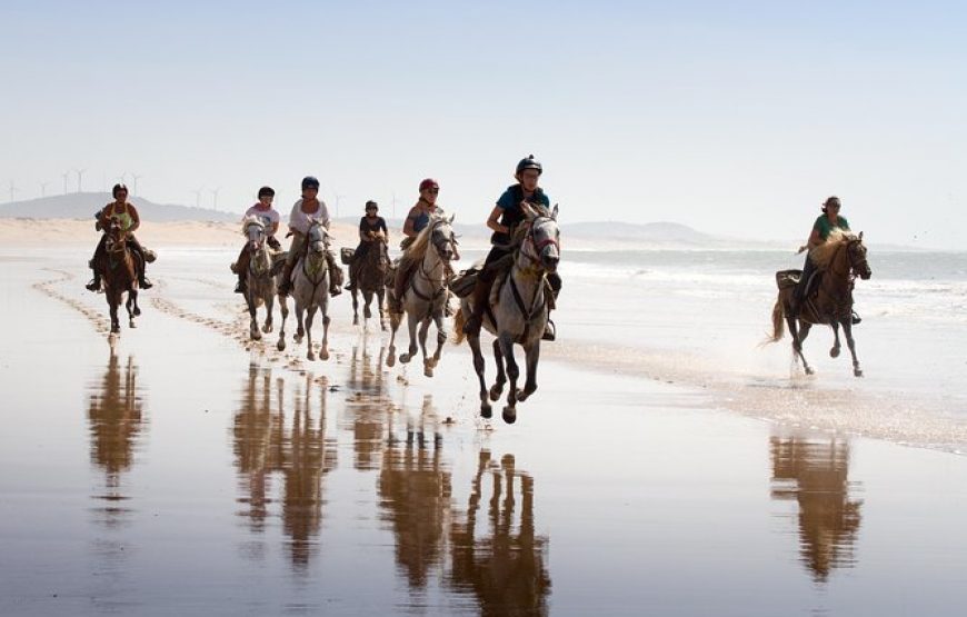 Essaouira : balade à cheval de 3 heures