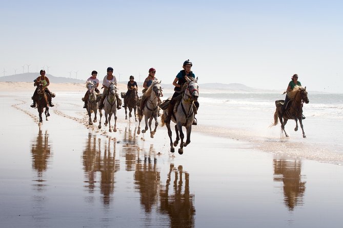 Essaouira : balade à cheval de 3 heures