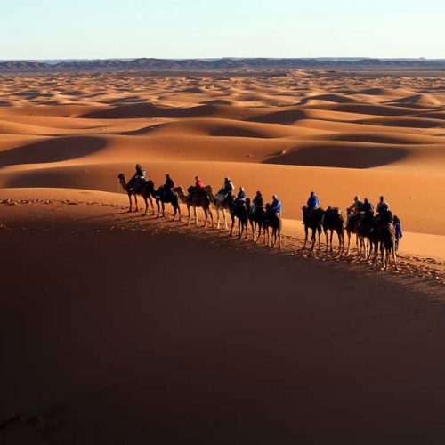 activities-merzouga-oasis-tour