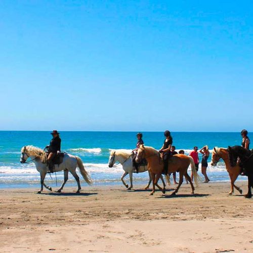 activities-tanger-horseback-rinding