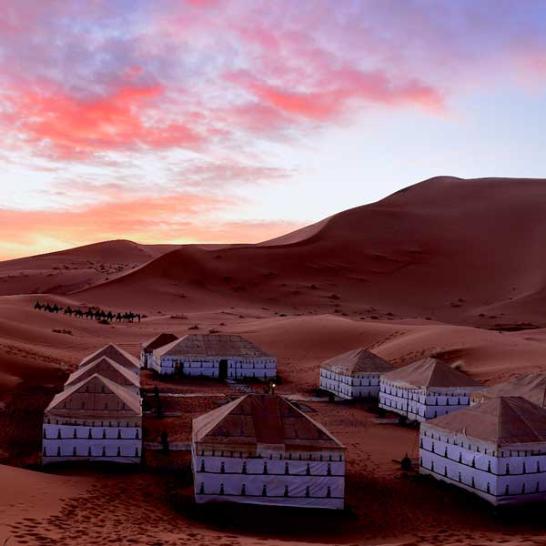tour-hp-desert-tour