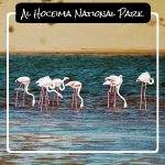 Al Hoceima National Park