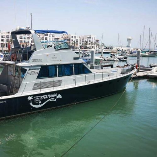 activity-agadir-visite-cote-bateau-600x600