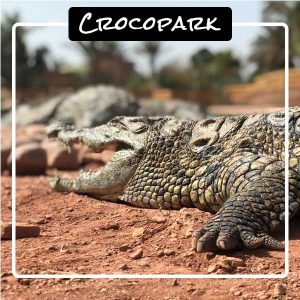 top-5-agadir-crocopark