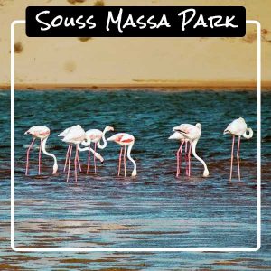 top-5-agadir-souss-massa-park